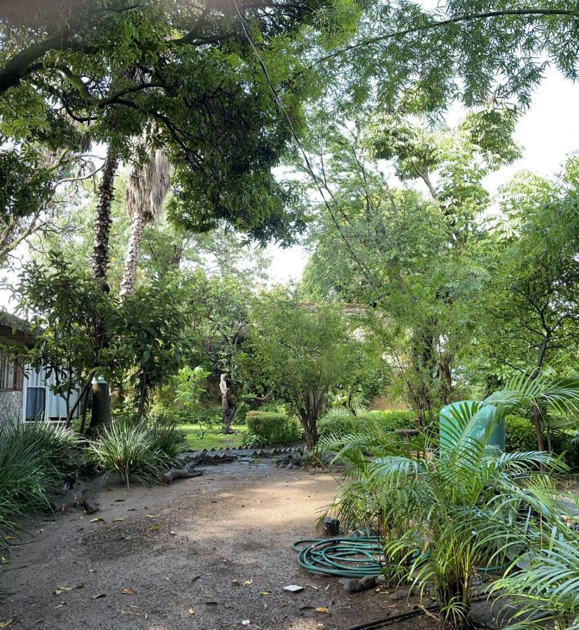 La Casa De Los Mangos Ajijic San Antonio Tlayacapan Exterior foto