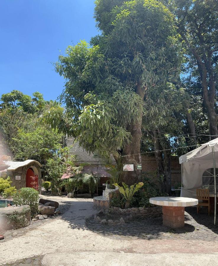 La Casa De Los Mangos Ajijic San Antonio Tlayacapan Exterior foto